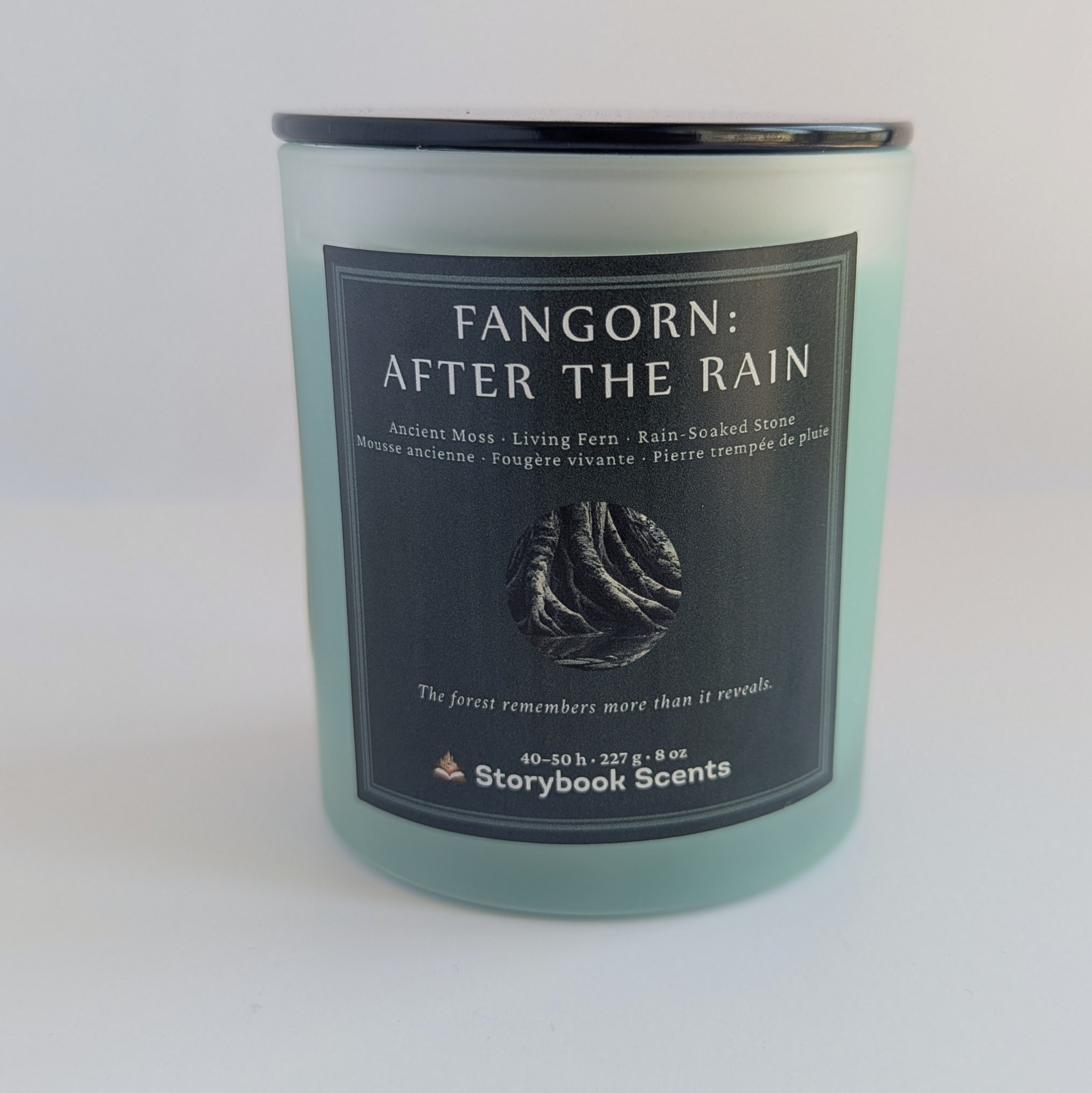 Fangorn: After the Rain