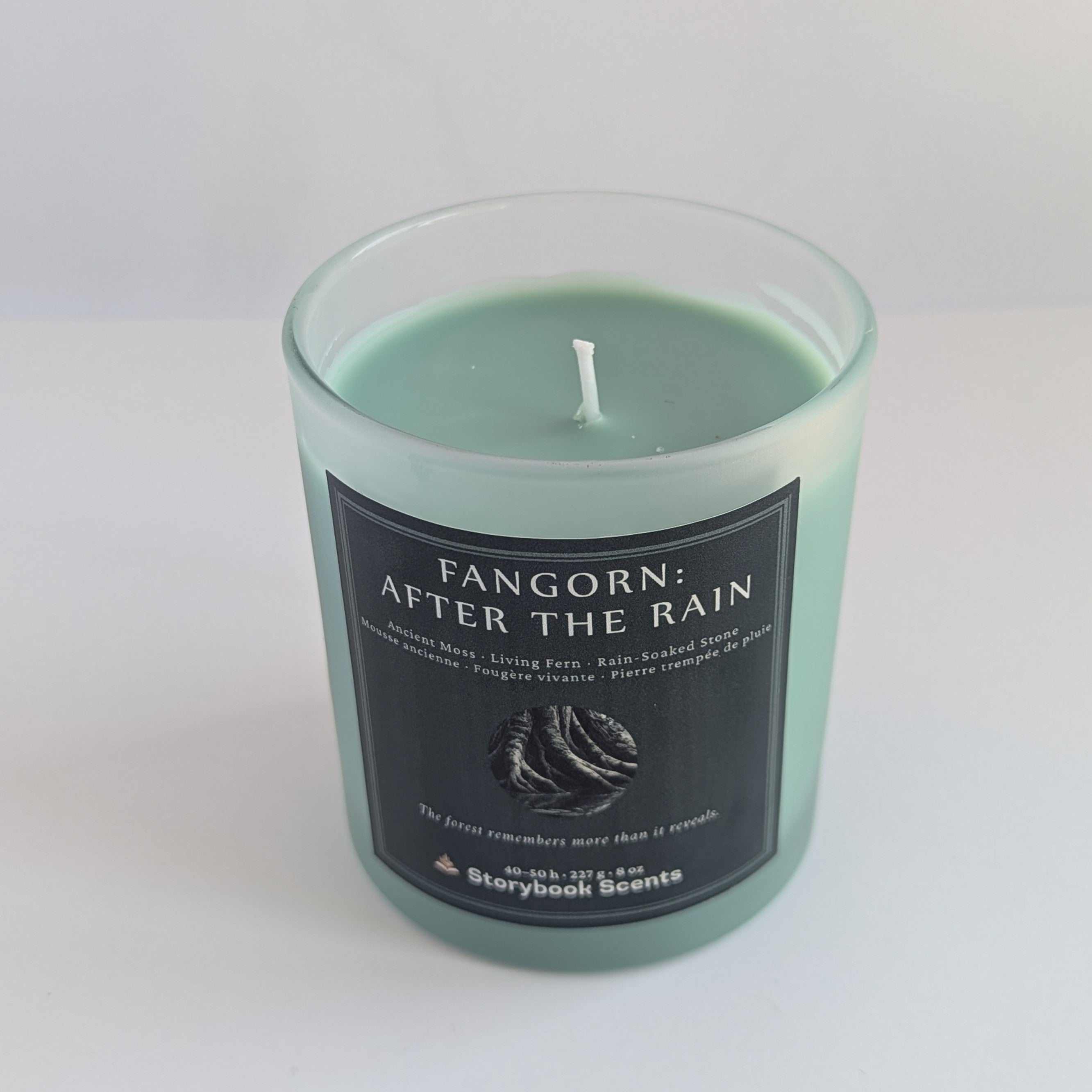 Fangorn: After the Rain