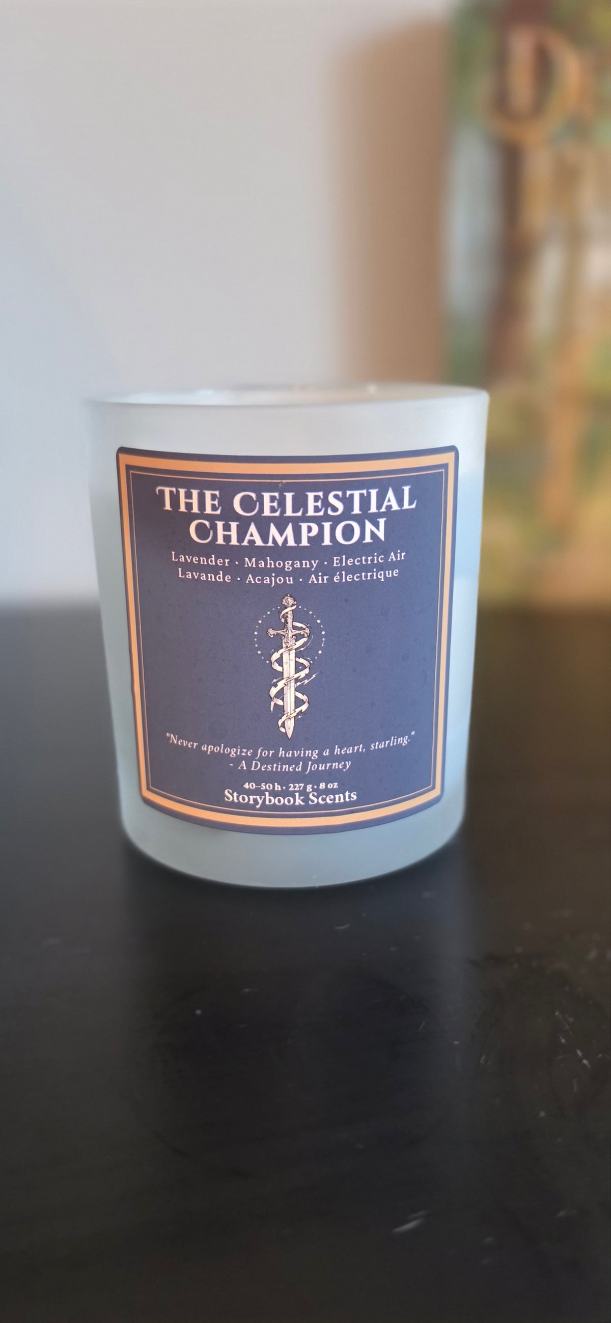 The Celestial Champion | A Destined Journey (Sara Shafiei)