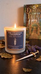The Celestial Champion | A Destined Journey (Sara Shafiei)